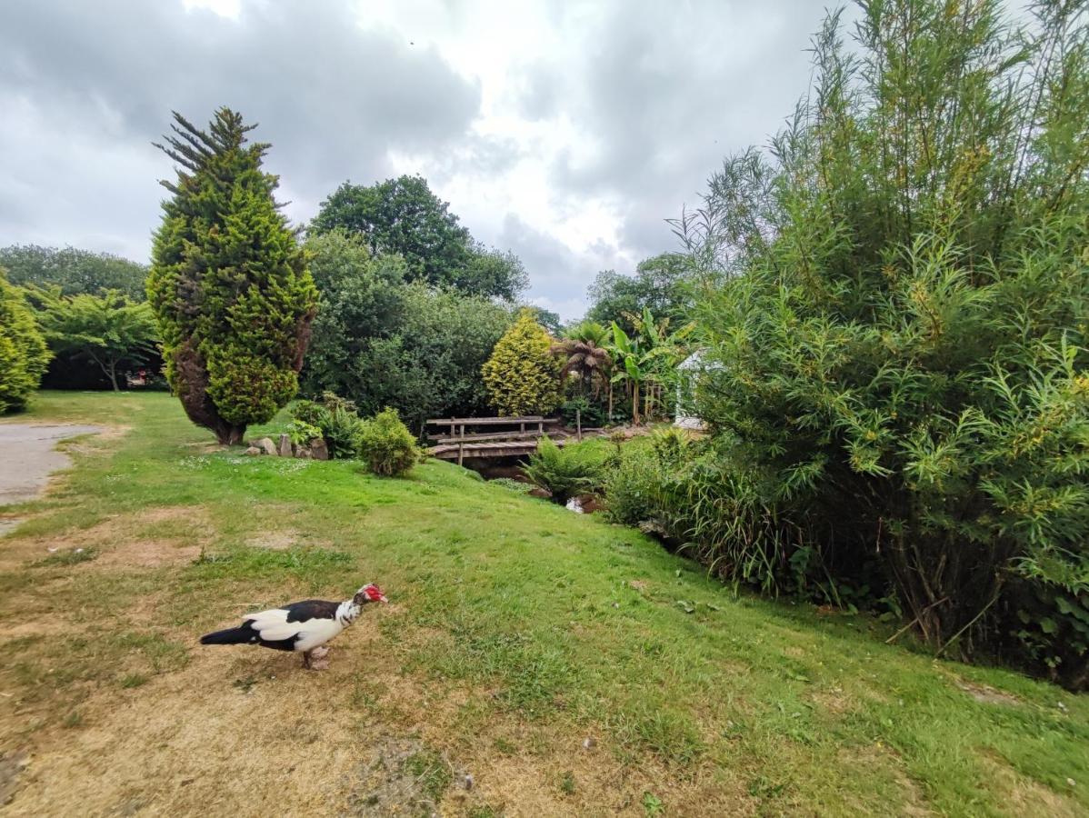 Villa Tree Fern Barn St Austell Exterior foto
